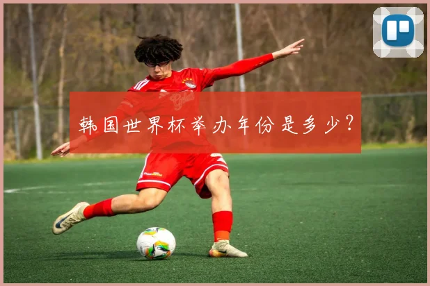 韩国世界杯举办年份是多少？