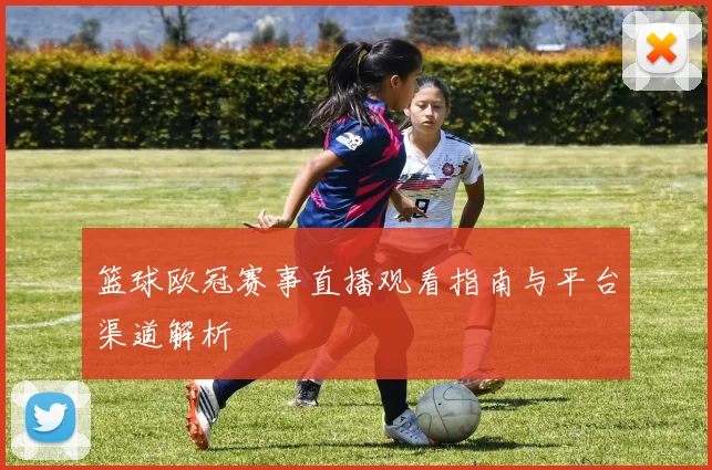 篮球欧冠赛事直播观看指南与平台渠道解析